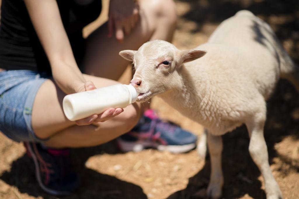 Вилла Agroturismo Sa Marina Alqueria Blanca Экстерьер фото